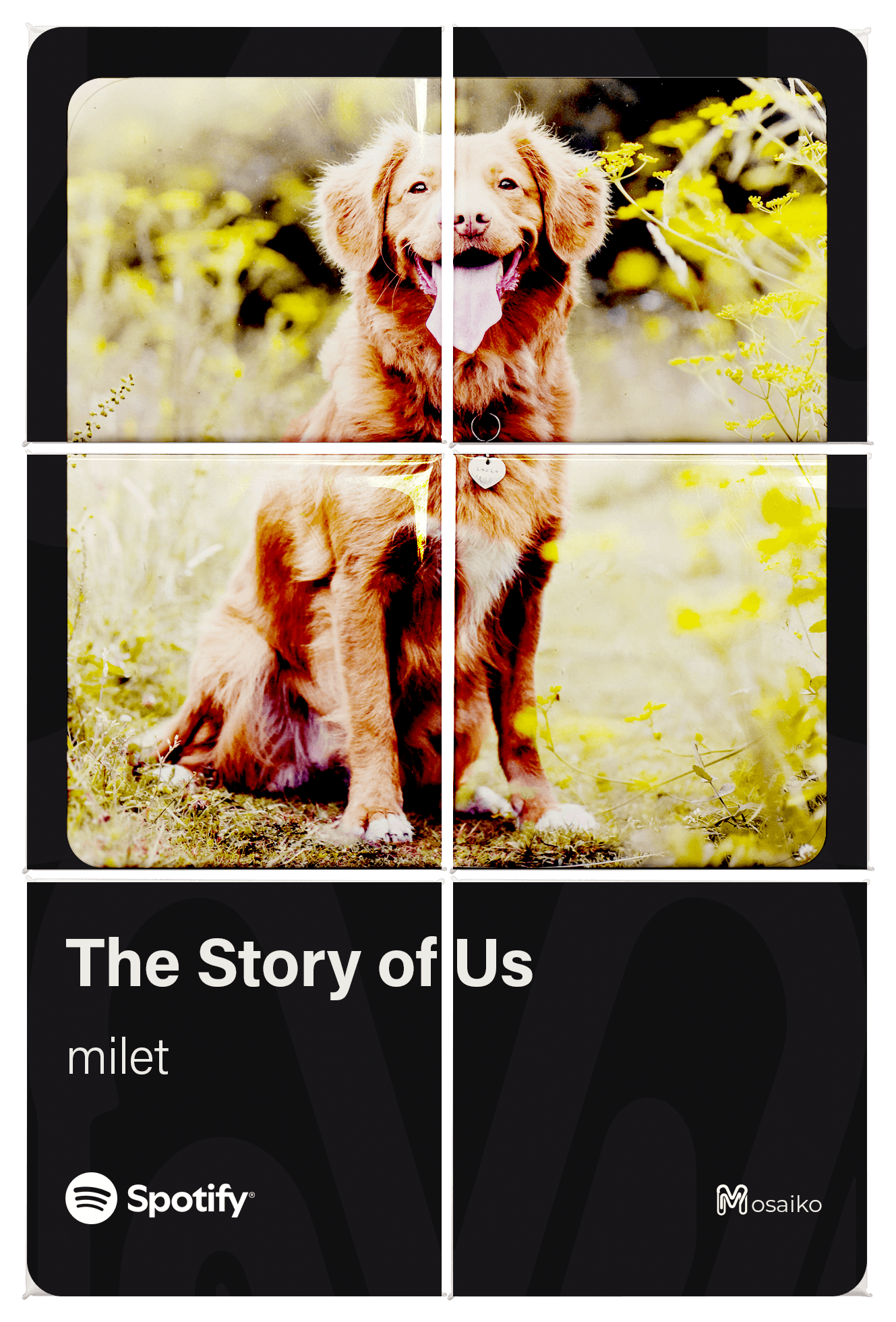 Album Cover Custom